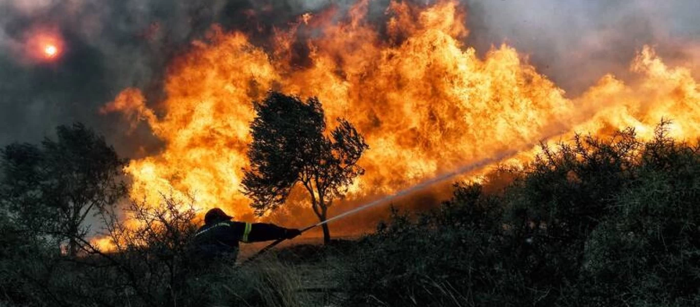 Πάνω από 100 στρέμματα δασικής έκτασης έκαψε η φωτιά στη Νυμφαία Κομοτηνής